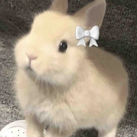 ครอท🐰(นอ.ร่างกระต่าย)