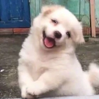 น้องพอจัย