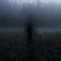 Shadow...