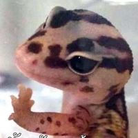 เเอดเองง😭✨🌟
