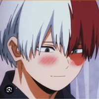 ❄️Shoto🔥