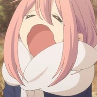 著者