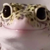 เป็นทุกอย่าง