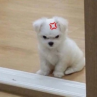 แอดเองจ้าา
