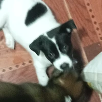 ？？？