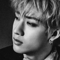 Seo Bang Chan [ Alfa Dominante ]