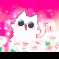 แมวเวทย์มนต์