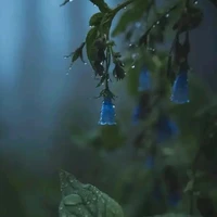 .....