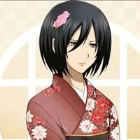 mikasa Ackerman (adik levi)