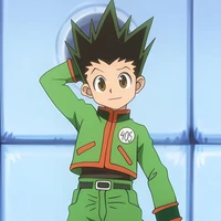 Gon Freecs