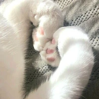 แอด