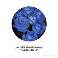 ตัวประกอบ