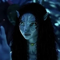 yn