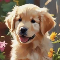 Milo(filhote)