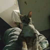 autora