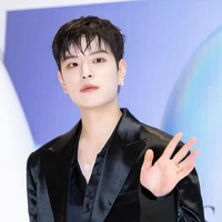 Seungmin (omega)