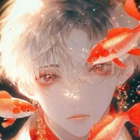 noa(femme) Nolan