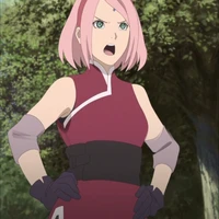 sakura