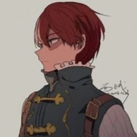 Shoto todoroki