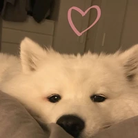 น้องแอ๊ด♡