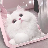 ซายุ(ร่างแมว)