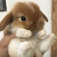 ระบบ 0211255