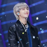 kim namjoon (alfa.p)