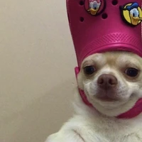 เเอดเองจร้า