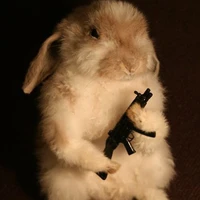 Dangerous Bunny