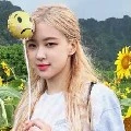 park rose