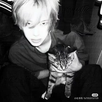 ไนวูฟ น.อ