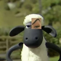 shaun