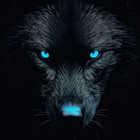 Neihl [lobo de Saúl]
