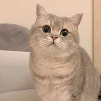 พระเจ้า