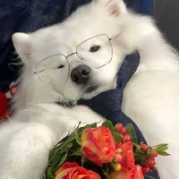 夏天