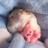แอดเองค่ะ>⁠.⁠<