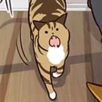 แมว1
