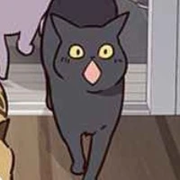 แมว2