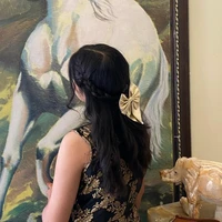 💓 Aurora Light 💓(Author)