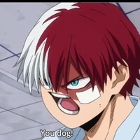 shoto