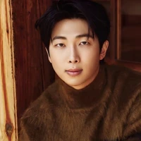 kim namjoon/alpha