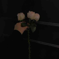 แอดเอง