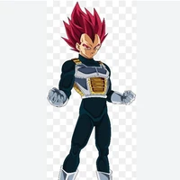 Vegeta ssj god