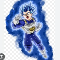 Vegeta ssj blue evo