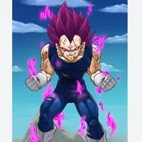 Vegeta ego