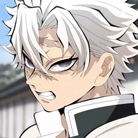 Shinazugawa Sanemi{เสาหลักวายุ🌪}