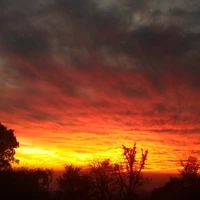 sunset/author
