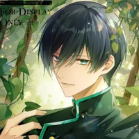 rin itoshi