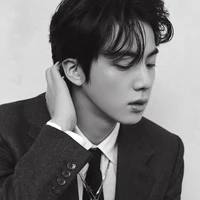 Kim Seokjin (Jin)