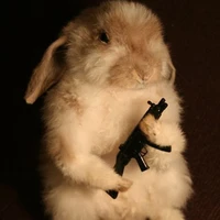 Dangerous Bunny